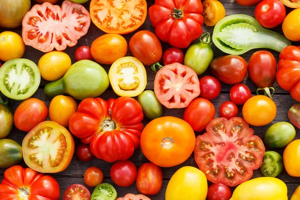 Färgglada tomater — Stockfoto
