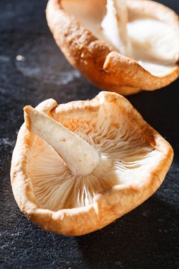 Shiitake Mushrooms clipart