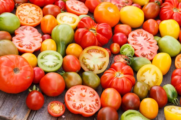 Tomates coloridos — Fotografia de Stock