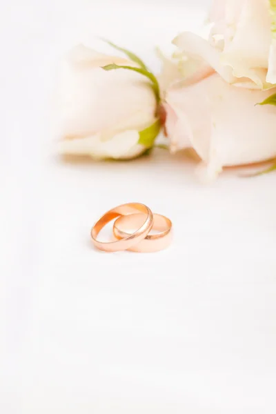 Roses and rings — Stock Photo, Image