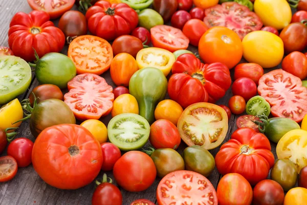 Bunte Tomaten — Stockfoto