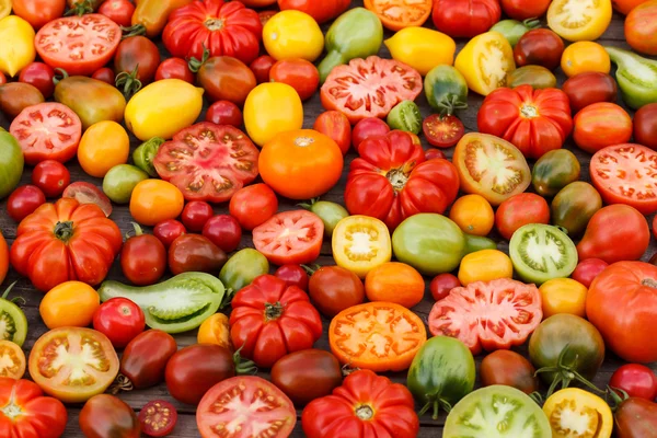 Bunte Tomaten — Stockfoto