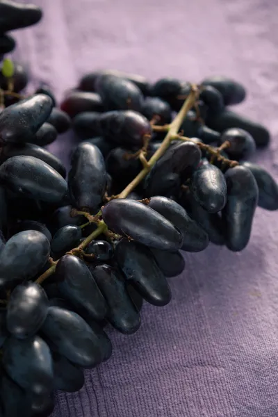 Mavi üzüm — Stok fotoğraf