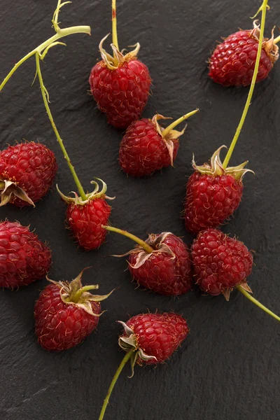 Frische Himbeeren — Stockfoto