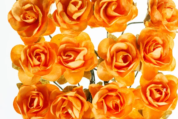 Nice roses — Stock Photo, Image