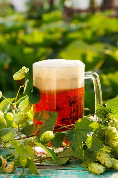 Luppolo con birra — Foto Stock
