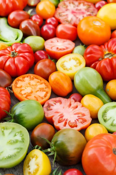 Bunte Tomaten — Stockfoto