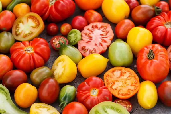 Tomates coloridos — Fotografia de Stock