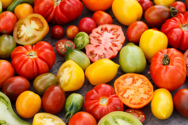 Colorful tomatoes