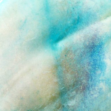 kabuk makro arka plan