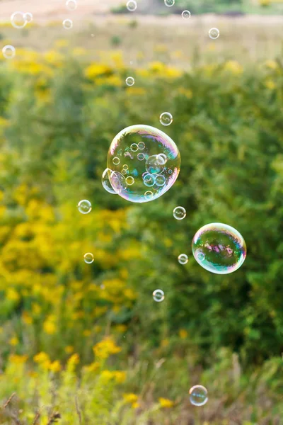 Seifenblase im Freien — Stockfoto