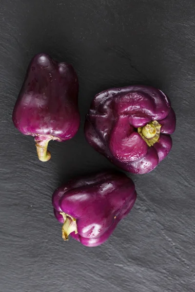 Пурпурный перец — стоковое фото