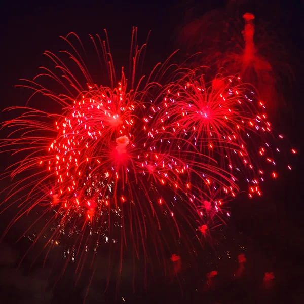 Fuegos artificiales de colores —  Fotos de Stock