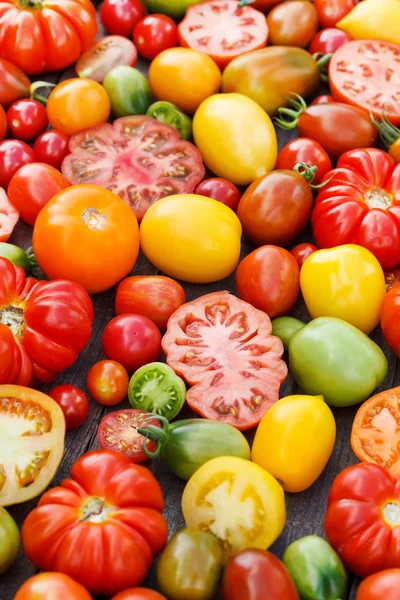 Bunte Tomaten — Stockfoto