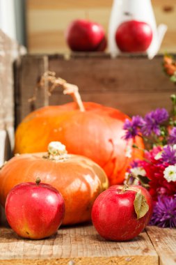 Şükran günü konsepti