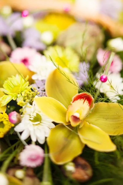 ニースの花 — ストック写真