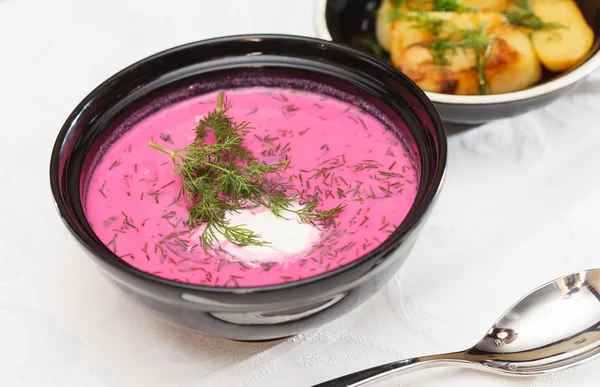 Borscht frío lituano — Foto de Stock