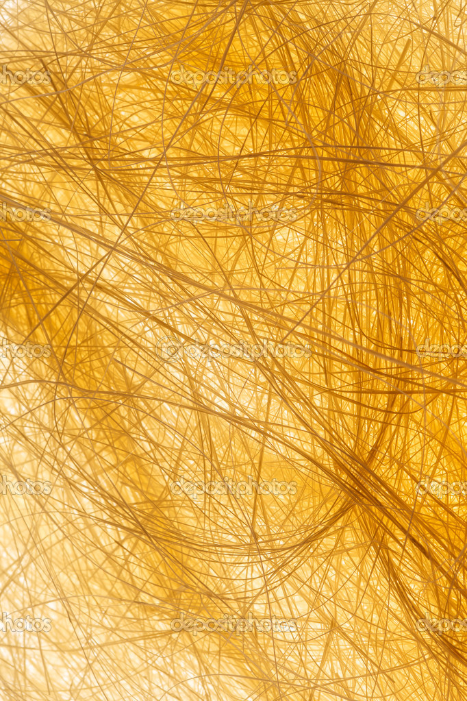 Natural sisal Stock Photo by ©Shebeko 31704633