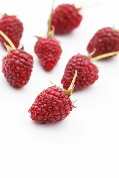 Fresh raspberries — Stock Photo, Image