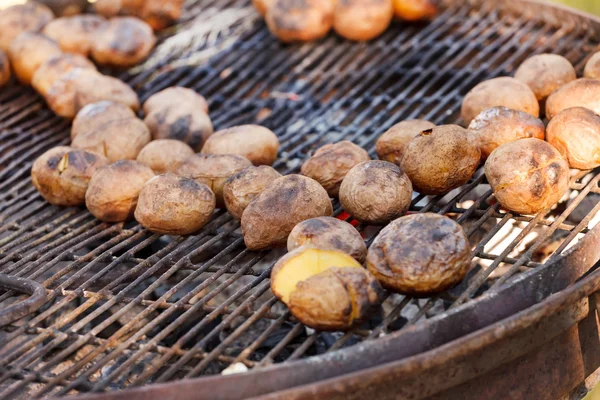 Gebakken aardappelen — Stockfoto