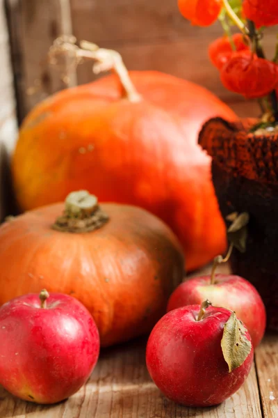 Giorno del Ringraziamento concetto — Foto Stock