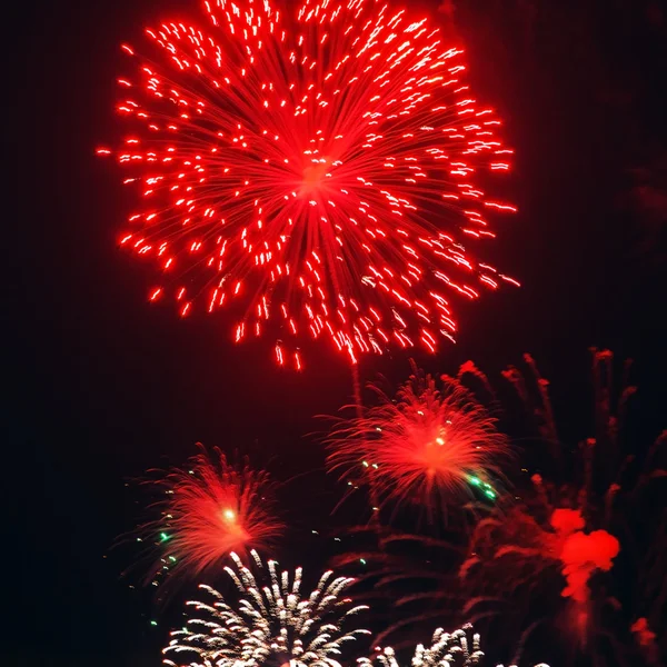 Fuegos artificiales de colores —  Fotos de Stock