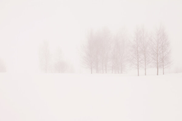 Snowy Landscape