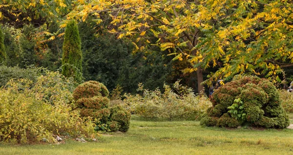 Jardín de otoño —  Fotos de Stock
