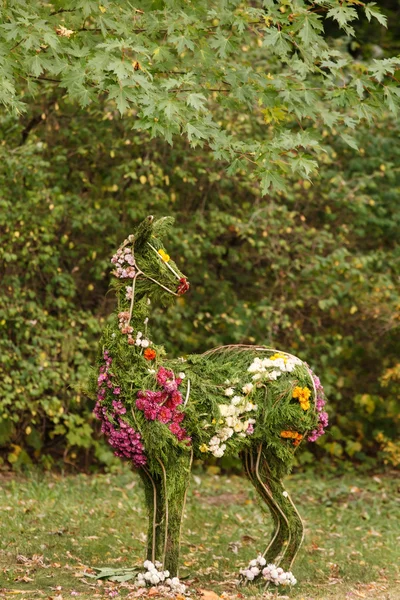 Lama de flores no parque — Fotografia de Stock