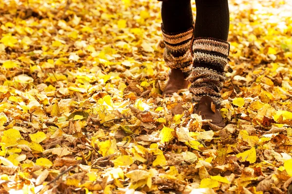Caminando a través de las hojas de otoño — Foto de Stock