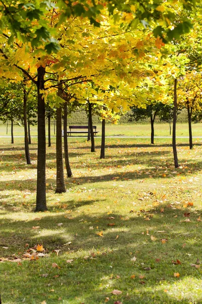 Parco autunnale — Foto Stock