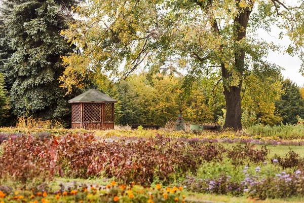 Höstträdgård — Stockfoto