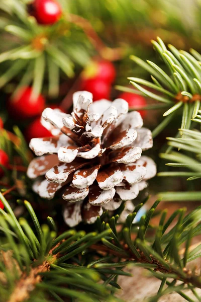 Decoração de Natal — Fotografia de Stock