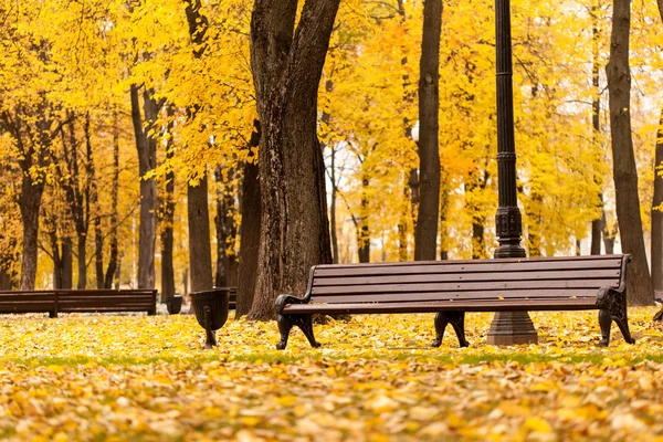 Bänk i parken — Stockfoto