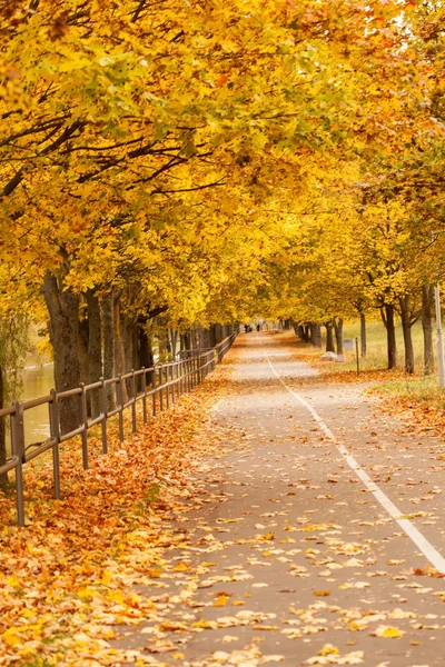 Parco autunnale — Foto Stock