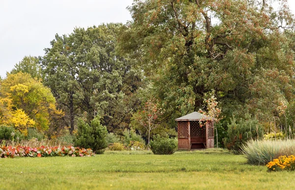 Autumn garden — Stock Photo, Image