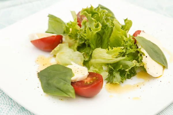 Салат с моцареллой, помидорами и базиликом — стоковое фото