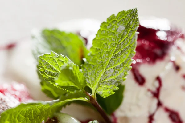 Vanilla ice cream with berries — Stock Photo, Image