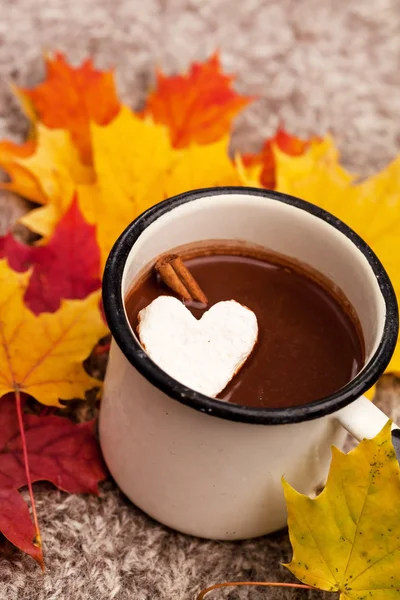 Hot chocolate — Stock Photo, Image