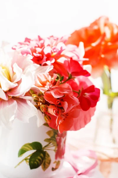 Summer flowers — Stock Photo, Image