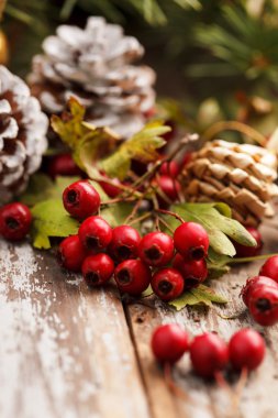 tarçın ile Noel dekorasyon