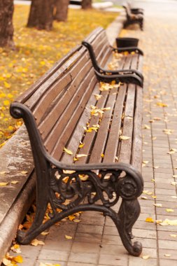 Park yaprakları ile boş tezgah