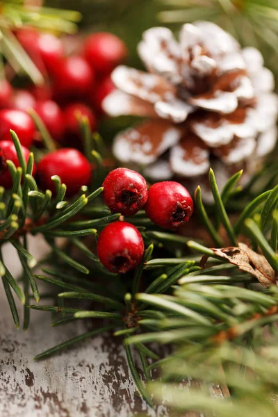 Decoración de Navidad con piña — Foto de Stock