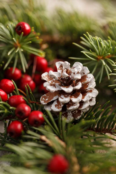 Decoração de Natal com pinecone — Fotografia de Stock