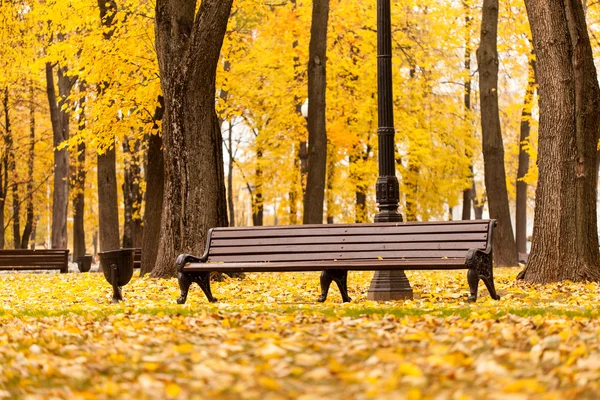 Banco vacío en el parque — Foto de Stock