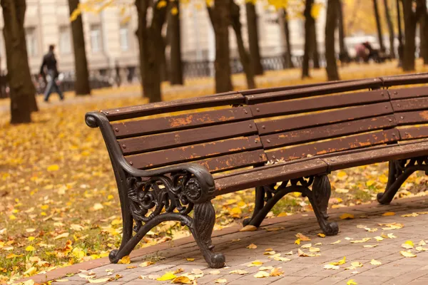 Banc vide dans le parc — Photo