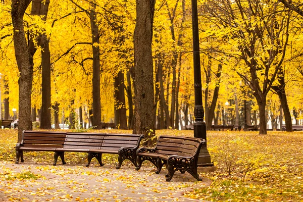 Banco en el parque — Foto de Stock