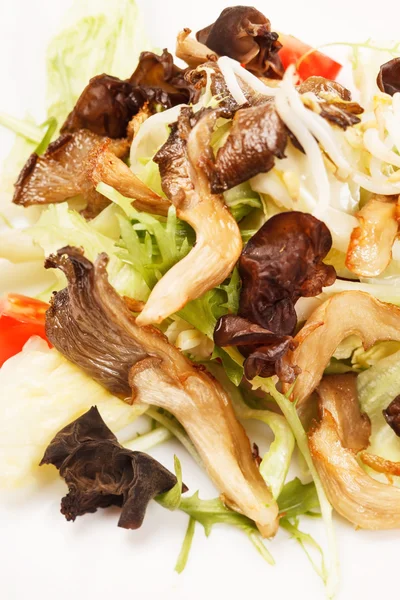 Asiatisk sallad — Stockfoto