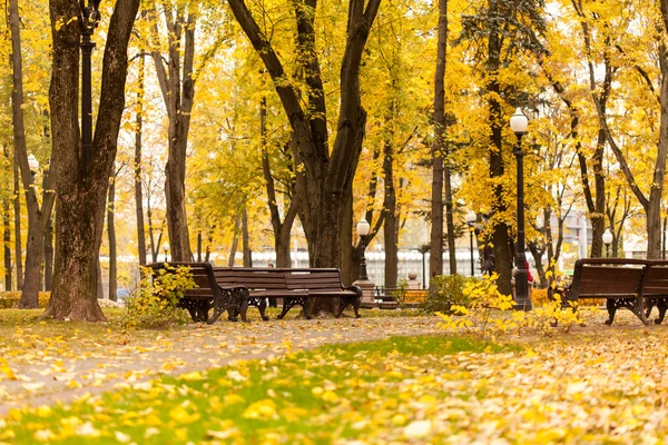 Tombänk i parken — Stockfoto