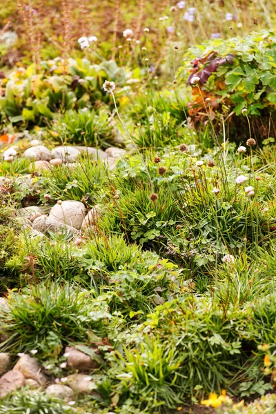 Herfsttuin — Stockfoto